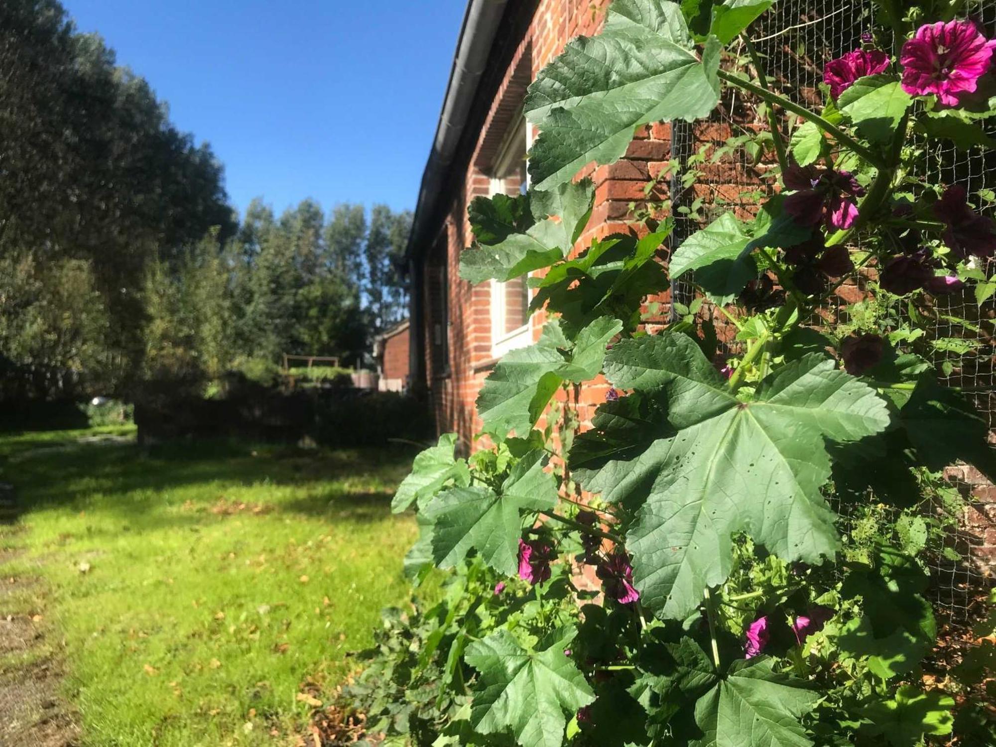 Gulfhof Friedrichsgroden Villa Carolinensiel Luaran gambar