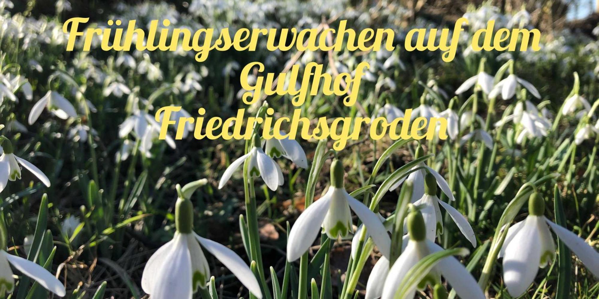 Gulfhof Friedrichsgroden Villa Carolinensiel Luaran gambar