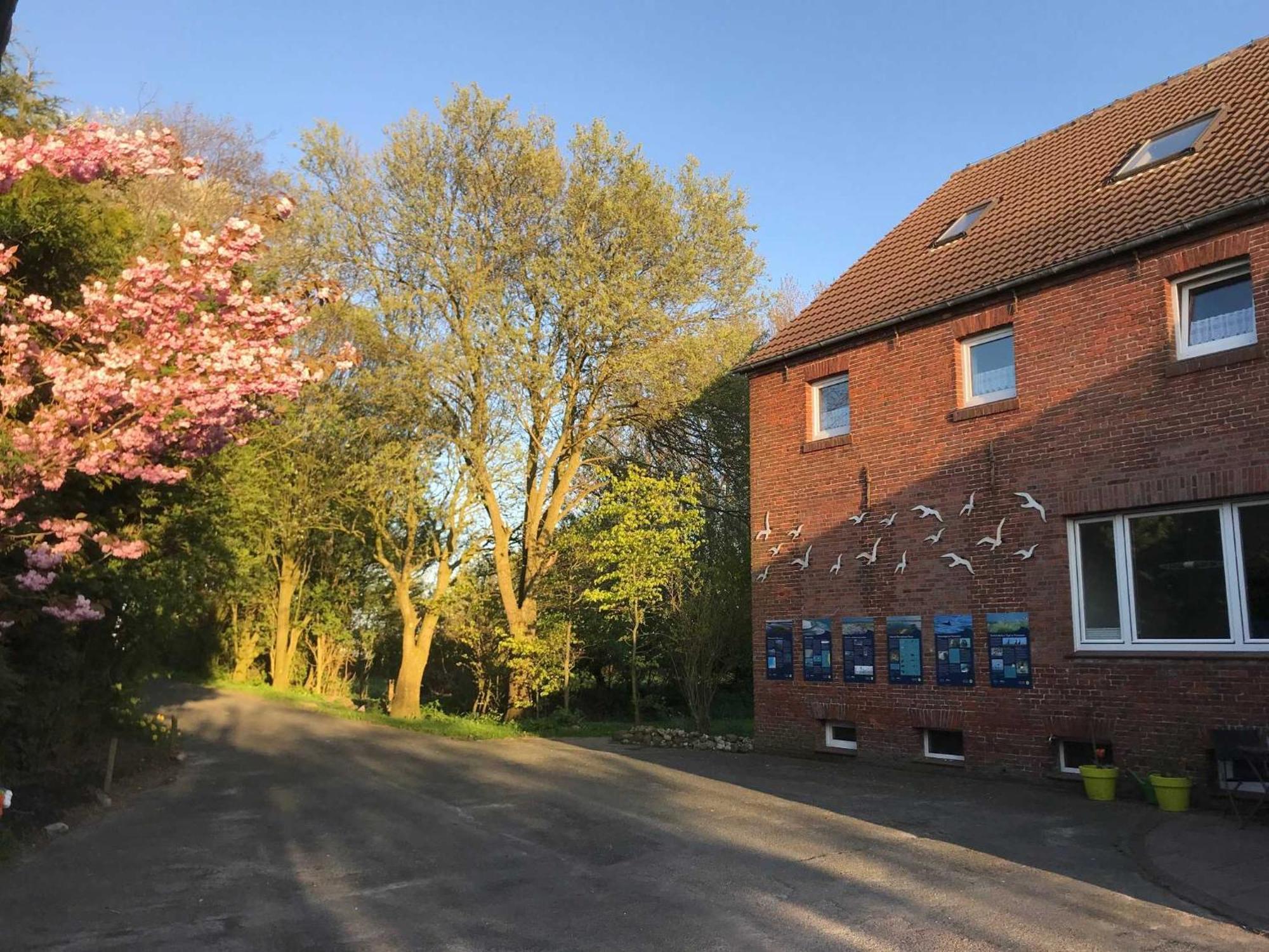Gulfhof Friedrichsgroden Villa Carolinensiel Luaran gambar