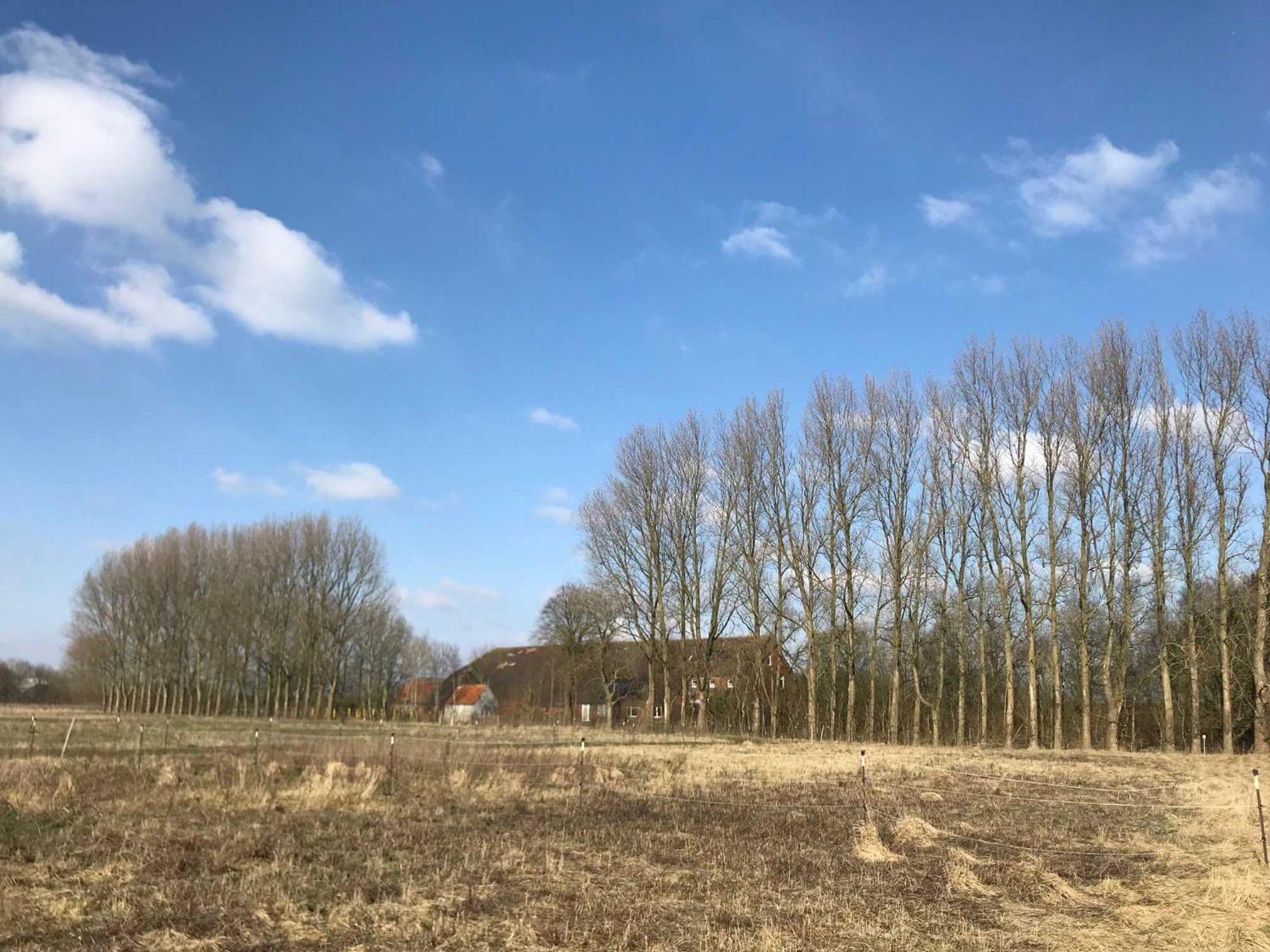 Gulfhof Friedrichsgroden Villa Carolinensiel Luaran gambar