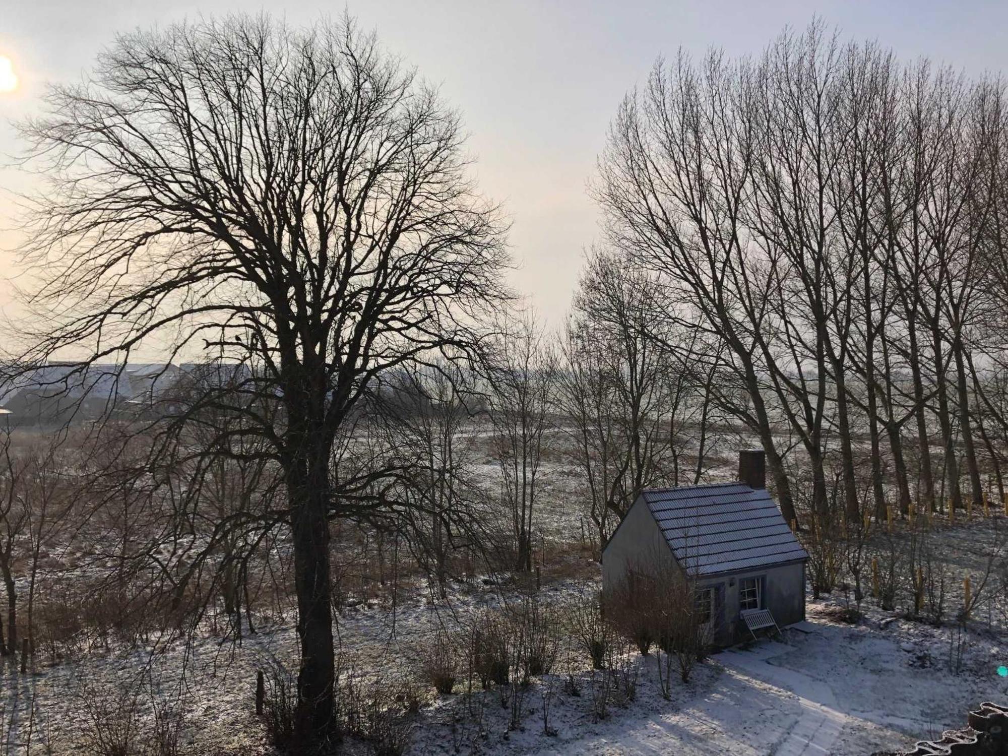 Gulfhof Friedrichsgroden Villa Carolinensiel Luaran gambar