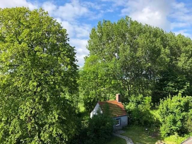 Gulfhof Friedrichsgroden Villa Carolinensiel Luaran gambar